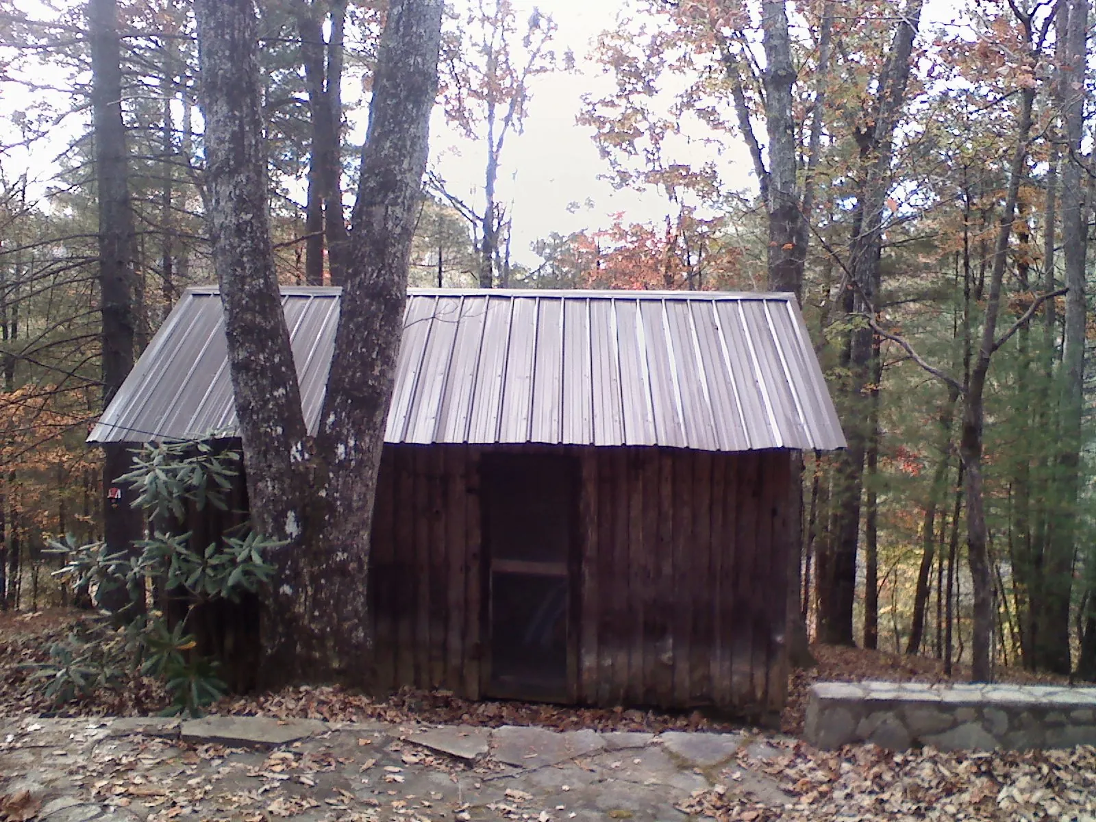 New metal gable roof on a small log shed among the trees in Ellerslie