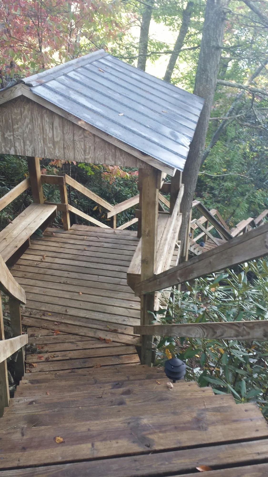 Metal roofed shelter over wooden steps on a wooded walkway — Skylight Repair & Installation work by our crew in Ellerslie