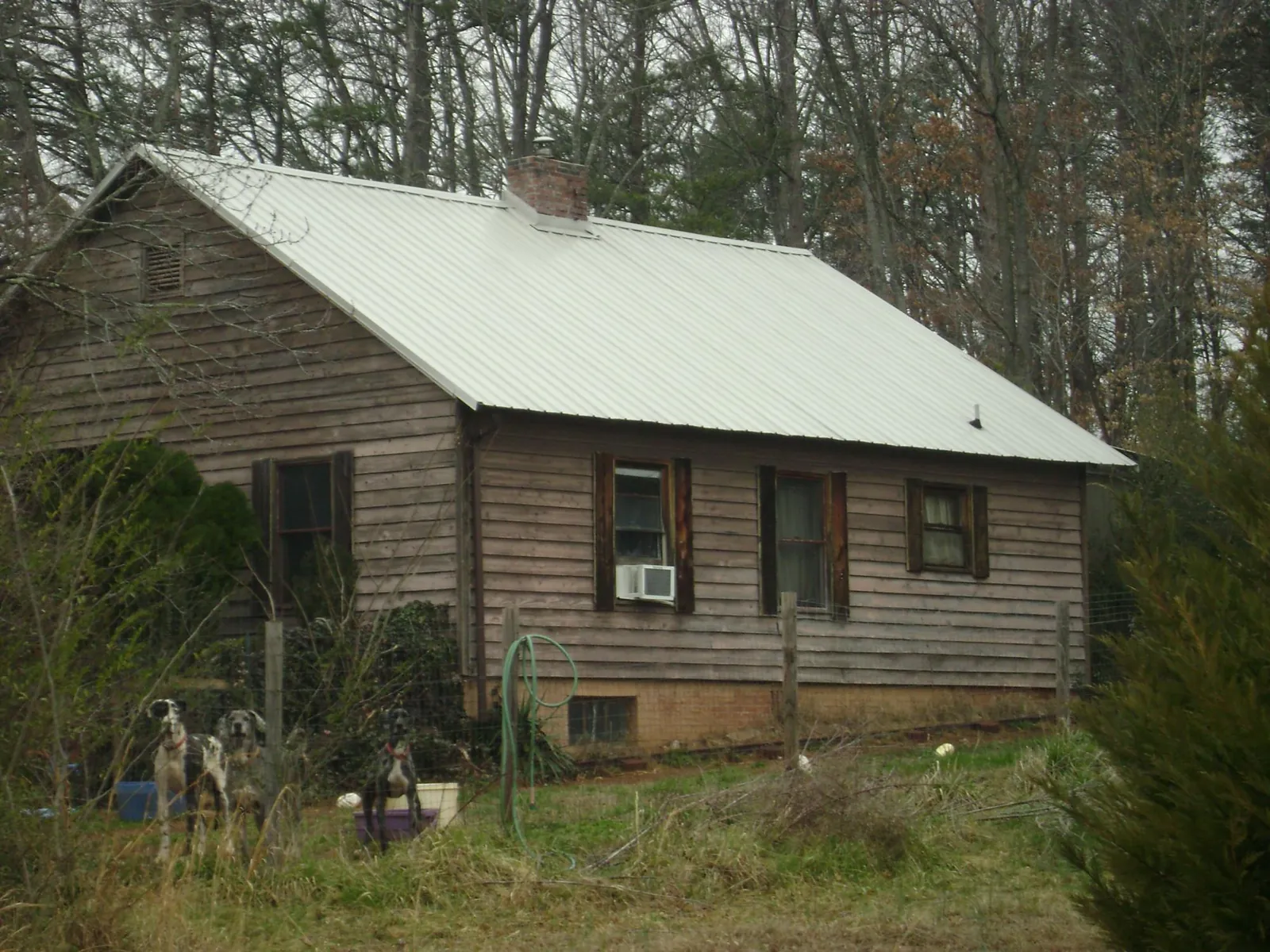 White metal roof on an old wood sided farmhouse, from a Metal Roof Installation job in Ellerslie